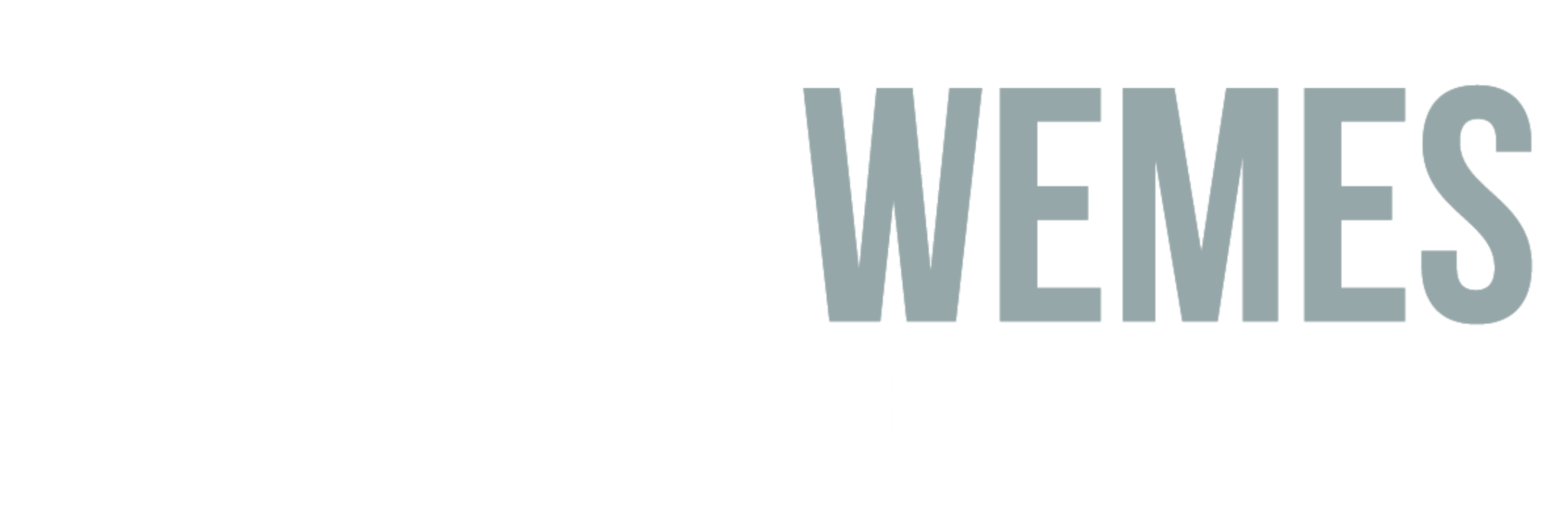 Logo Wemes Projecten